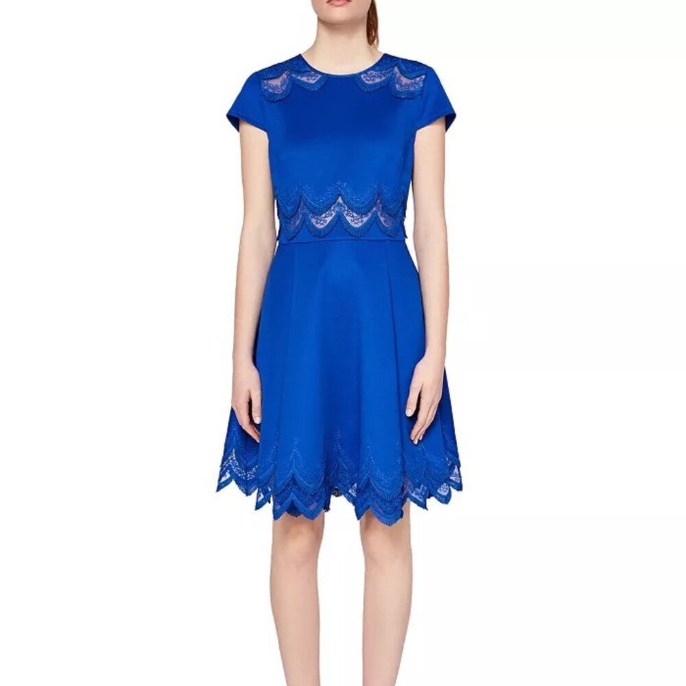 Ted Baker Rehanna Embroidered Skater Dress blue
